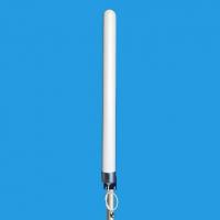 China AMEISON Antenna Factory outdoor Base Station high gain Omni directional antenna 3g 4g lte factory