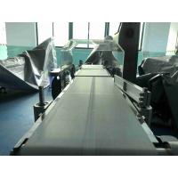 China 1000g Metal Detector Checkweigher machine Food Industry Checkweigher Reject System for sale