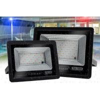China 50W 100W Outdoor RGB LED Flood Light For Garden Yard for sale
