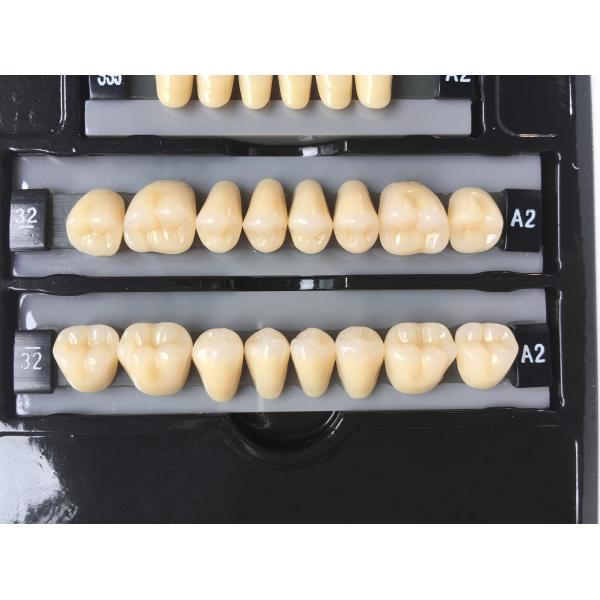 Quality Clear Dental Acrylic Resin Kit Teeth Synthetic 2 Layers Dent Resin Teeth for sale