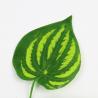 China Hanging Garland Artificial Ivy Vines Leaf Plants 1.8cm Plastic Foliage For Wedding Wall factory