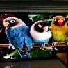 China Ultra Thin Led Video Wall Display Full Color Video Billboards P1.667 P1.25 Indoor Rgb factory