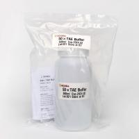 China 50× TAE DNA Electrophoresis Buffer M9021 500ml Specific Reagents factory