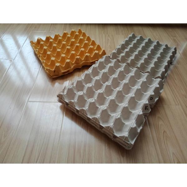 Quality Paper Egg Tray Production Line Computer Controlled With High Efficiency for sale