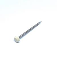 China A2 Stainless Steel Shatterproof Plastic Head Nails For Fascia And Soffit factory