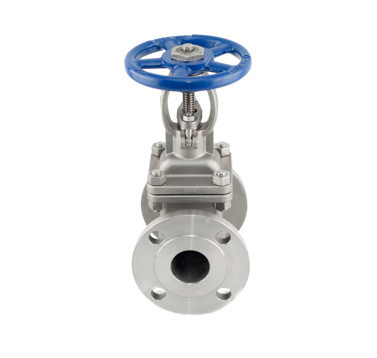 Quality SS304 4'' Stainless Steel Gate Valve Class 150 RF Flanges Bolted Bonnet 1.6MPa for sale