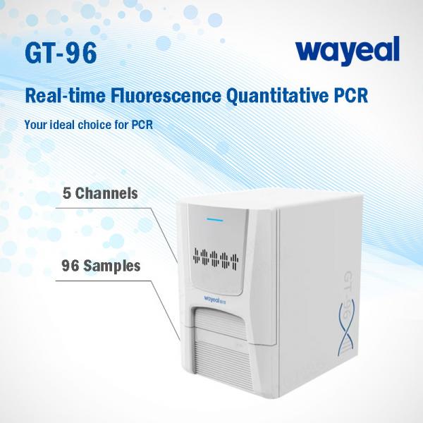 Quality Real Time Lab Fluorescence Quantitative PCR Analyzer For Nucleic Acid Test for sale