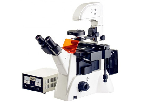 Quality Inverted Fluorescence Biology Lab Microscope Edu Science Microscope 1200x 20X for sale