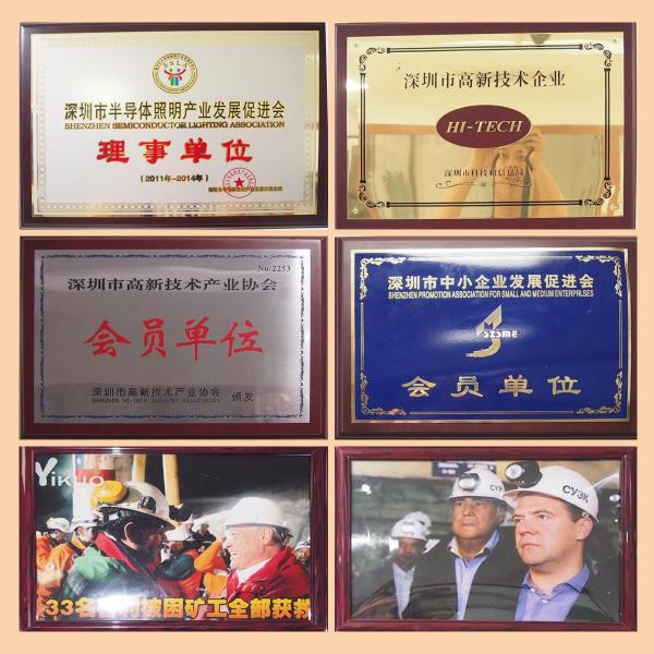China Golden Future Enterprise HK Ltd manufacturer