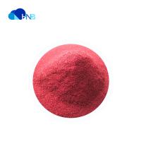 China Healthcare Supplement Natural Elderberry Extract Powder Elderberry Fruit Extract Powder factory
