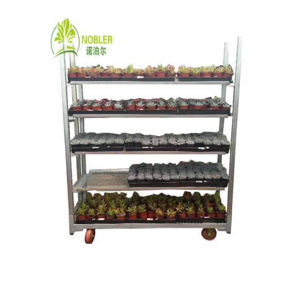 Quality Dutch Plant And Flower Display Cart Greenhouse Nursery Transport Trolleys for sale