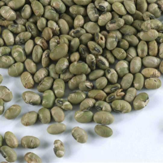 Quality Semi Soft Roasted Bean Snacks Salted Green Pea Roasted Edamame Snack for sale