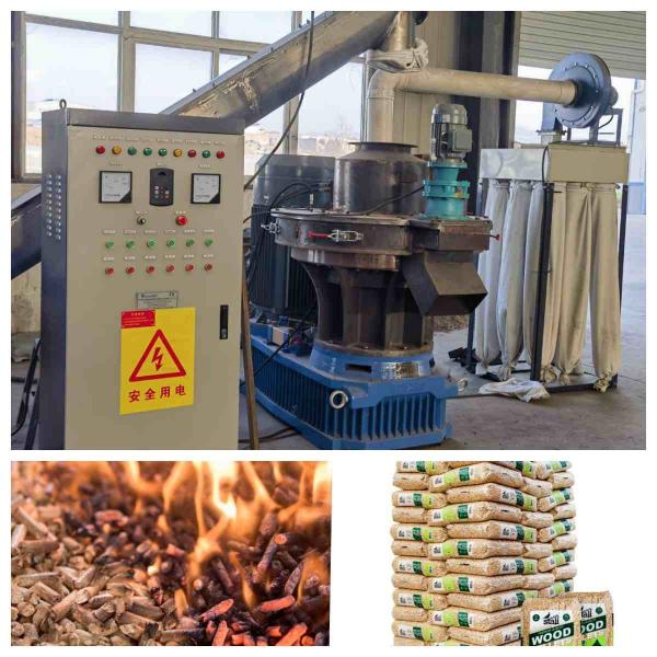 Quality 2-3tph Ring Die Pellet Machine Whole Biomass Pellet  Production Line With CE for sale