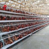 Quality Galvanized A Type 120 Chicken Layer Battery Cage System Multilayer Doris for sale