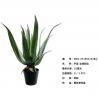 China Flexible Glue Artificial Greenery Bonsai Tree Aloe Vera 30 CM 36 CM 50 CM61 CM factory