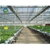 China Hot Dipped Galvanized Steel 7.5m PC Sheet Greenhouse factory