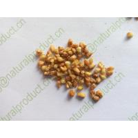 China Tartary buckwheat Semen Fagopyrum tataricum L Gaertn seeds for herbal tea Huang ku qiao factory