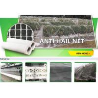 China bird protection net, net trap,bird net,anti-bird net,mist net,pe tarpaulin,tarpaulin roll,shade net,mesh net,monoflament factory