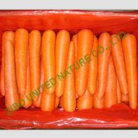 Quality new carrot, CLEAN carrot, packed in customized carton for sale