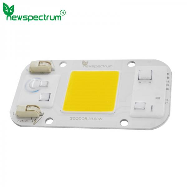 Quality AC110V AC LED Module COB Chip No Need Driver For Greenhouse Lights for sale
