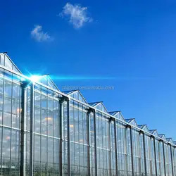 Quality OEM ODM Metal And Glass Greenhouse Temperature Resistance for sale