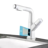 Quality Pull Out Sink Faucet for sale