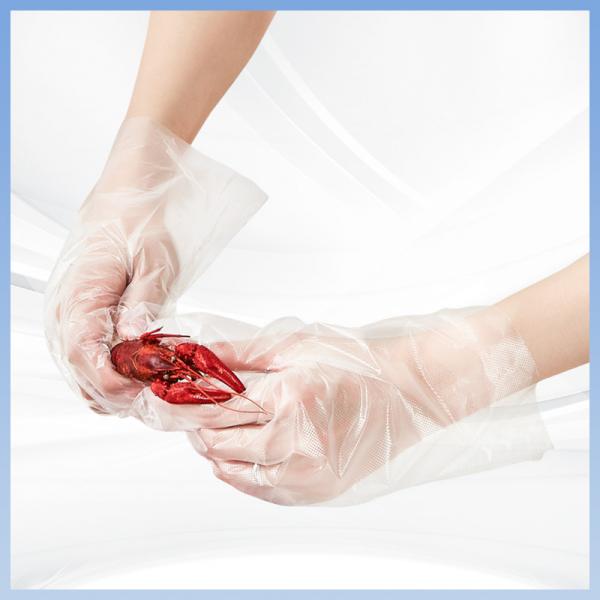 Quality Oil Proof Disposable PE Gloves Sterile Clear Food Service Gloves for sale