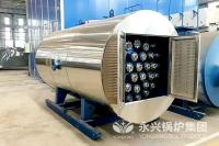 China Electric Heater Oil Fired Steam Boiler Stainless Steel Industrial Food Boiler factory