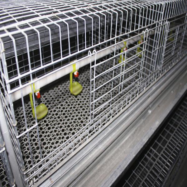 Quality Galvanized Broody Chicken Cage , 3 Or 4 Floors Chicken Raising Equipment for sale