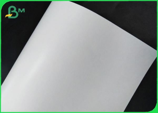 Fully Renewable Cupstock Paper Rolls Coated Polyethylene 18g + 10gsm