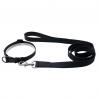 China Holiday Pet Collar PVC Waterproof Leash , Soft Adjustable Dog Collar Leash Leash factory