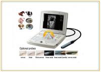 China Laptop Veterinary Ultrasound Scanner , Digital Livestock Ultrasound Equipment factory