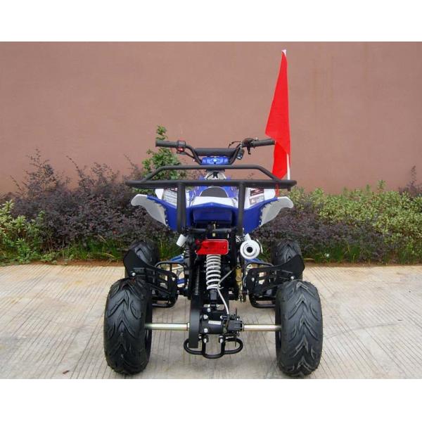 Quality Front / Rear Disc Brake Four Wheelers For Adults , 110cc Four Wheeler Electric for sale