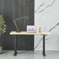 China Office Dual Motor Electric Sit Stand Desk with Modern Design and Custom Wooden Grain for sale