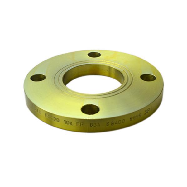 Quality BS4504 Pn16 Plate Flange for water conservancy / pharmaceutical for sale