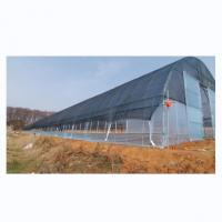 China Single Span Agricultural Greenhouses Shading Net Film Greenhouse For Tomato Planting for sale
