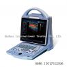 China 2 ultrasonic transducer Portable3D Color doppler ltrasound Scanner  portable ultrasound machine for pregnancy factory
