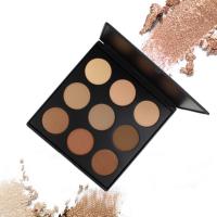 China 9 Color Correcting Makeup Concealer Palette Pressed Powder Contour Kit 250g Weight factory