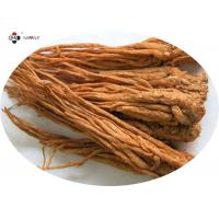 China Fine Powder 0.3% Ferulic Angelica Sinensis Root Extract factory