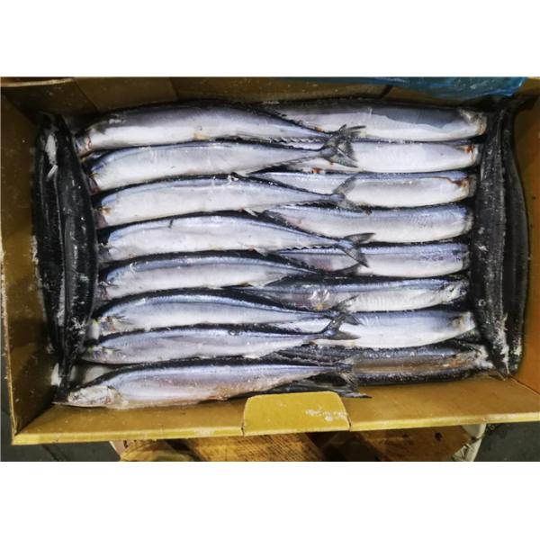 Quality 90g 100g Healthy Cololabis Saira Frozen Pacific Saury for sale