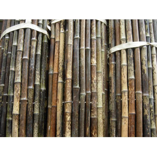 Quality 120cm Raw Bamboo Pole for sale