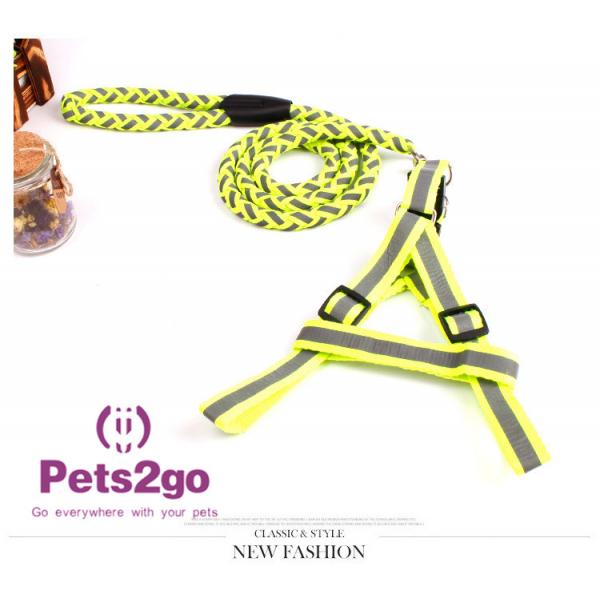 Quality Pet Training  Dog Shock Collar Puppies Tools Basic Concepts Learning Curve for sale