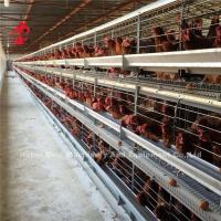 China China Nigeria Factory Layer Broiler Poultry Chicken Rearing Cage For Sale Ada factory