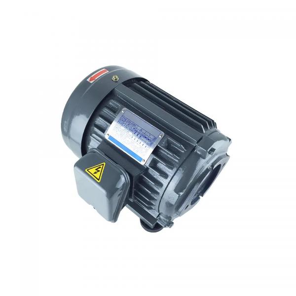 Quality 1.5 Hp 0.25 Hp 1hp 3 Phase Induction Motor And Single Phase Induction Motor for sale