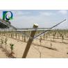 China High Strength Table Grape Trellis Systems , Galvanised Steel Vineyard Posts factory