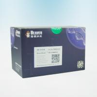 China IDA-Cobalt Magnetic Beads Protein Purification 10% Volume Ratio 1000 mL factory