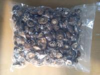 China Healthy Dried Shiitake Mushroom 11% Moisture No Foreign Odours factory