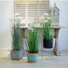 China Durable Artificial Bonsai Tree Plush Fiber Silk Fabric Aloe Dog Tail Onion Grass / Plastic Flower Pot factory