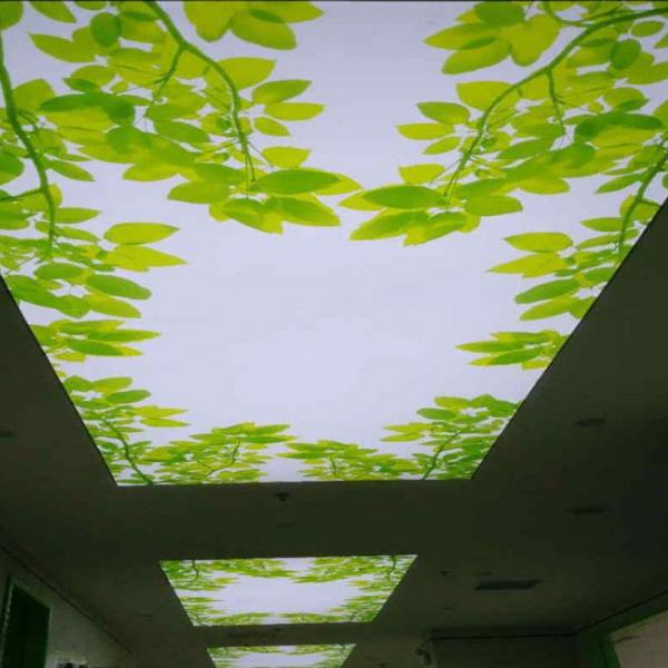 Quality Flexible Width 1.8m-3.2m Stretch Ceiling Film For Shopping Mall Advertising for sale