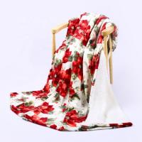 China 220gsm Queen Size Flannel Blanket for sale
